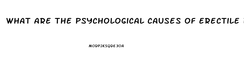 What Are The Psychological Causes Of Erectile Dysfunction