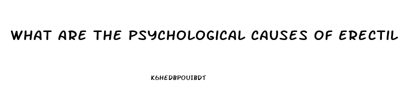 What Are The Psychological Causes Of Erectile Dysfunction