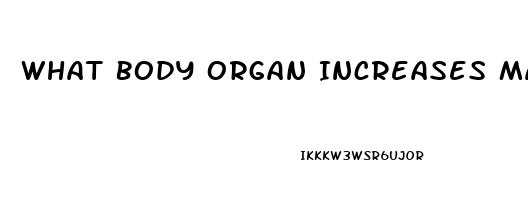 What Body Organ Increases Male Libido