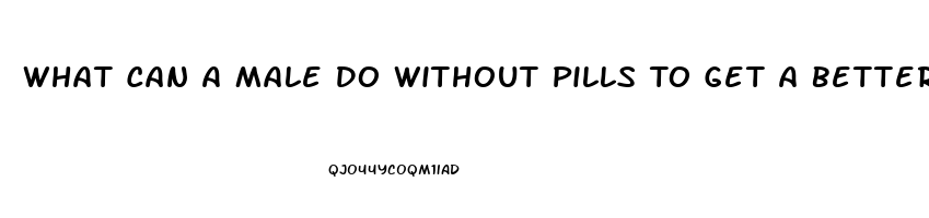 What Can A Male Do Without Pills To Get A Better Erection For Sex