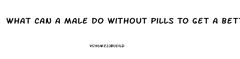 What Can A Male Do Without Pills To Get A Better Erection For Sex