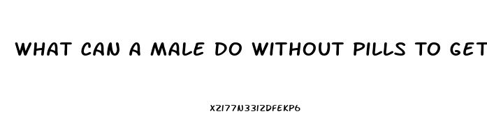 What Can A Male Do Without Pills To Get A Better Erection For Sex