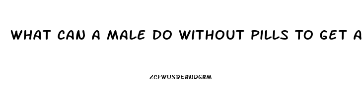 What Can A Male Do Without Pills To Get A Better Erection For Sex