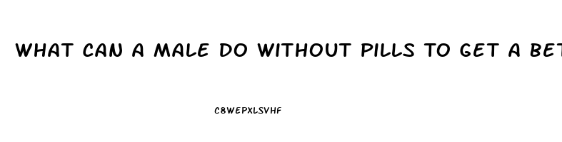 What Can A Male Do Without Pills To Get A Better Erection For Sex