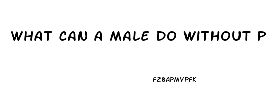 What Can A Male Do Without Pills To Get A Better Erection For Sex