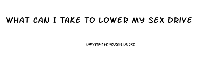 What Can I Take To Lower My Sex Drive