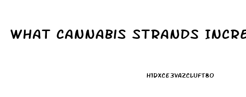 What Cannabis Strands Increase Sex Drive