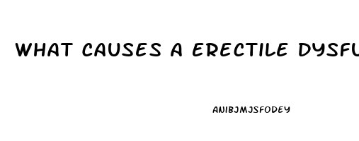 What Causes A Erectile Dysfunction