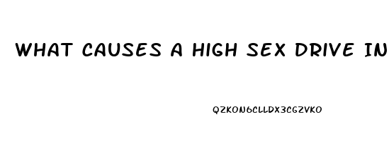 What Causes A High Sex Drive In Males