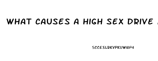 What Causes A High Sex Drive Male