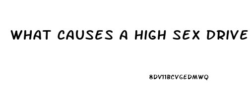 What Causes A High Sex Drive Male