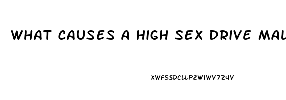 What Causes A High Sex Drive Male