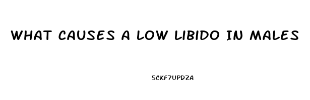 What Causes A Low Libido In Males