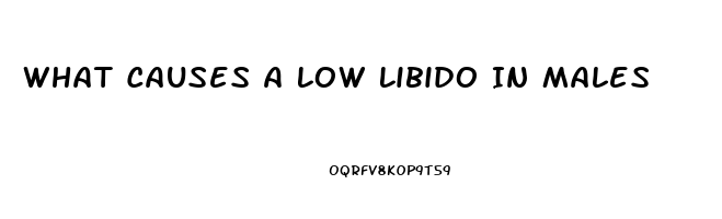 What Causes A Low Libido In Males