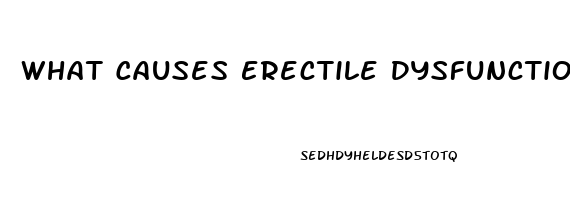 What Causes Erectile Dysfunction And Premature Ejaculation