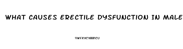 What Causes Erectile Dysfunction In Males