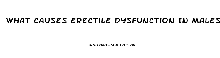 What Causes Erectile Dysfunction In Males