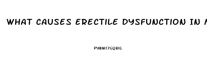 What Causes Erectile Dysfunction In Males