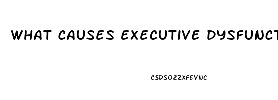 What Causes Executive Dysfunction