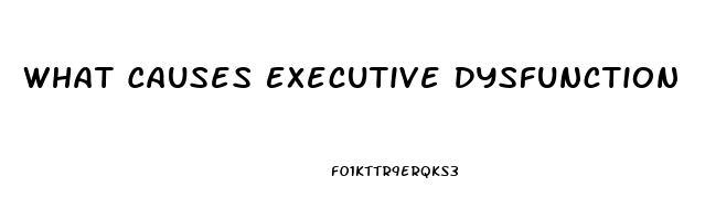 What Causes Executive Dysfunction