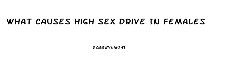 What Causes High Sex Drive In Females