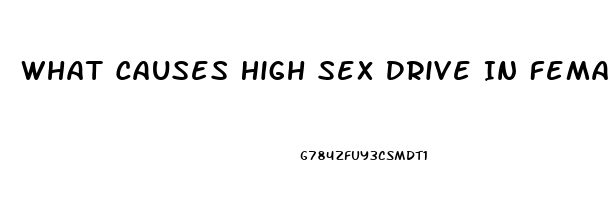 What Causes High Sex Drive In Females