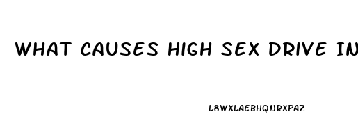 What Causes High Sex Drive In Males