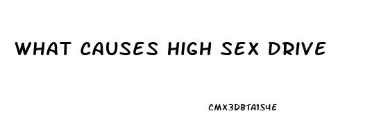 What Causes High Sex Drive