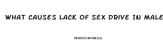 What Causes Lack Of Sex Drive In Males