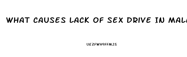 What Causes Lack Of Sex Drive In Males