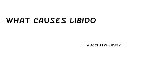 What Causes Libido