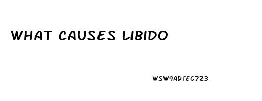 What Causes Libido