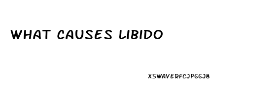 What Causes Libido