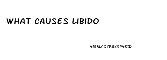 What Causes Libido