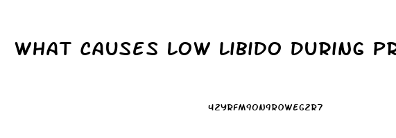 What Causes Low Libido During Pregnancy