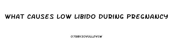 What Causes Low Libido During Pregnancy