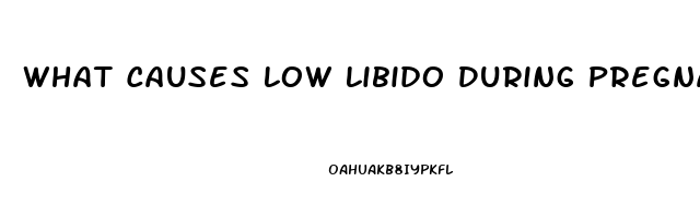 What Causes Low Libido During Pregnancy