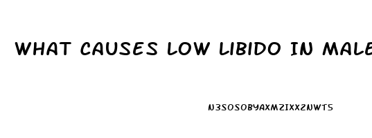 What Causes Low Libido In Males