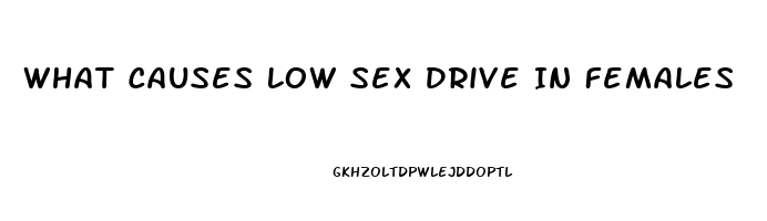 What Causes Low Sex Drive In Females