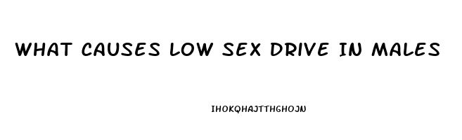 What Causes Low Sex Drive In Males