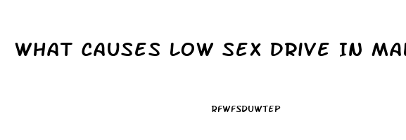 What Causes Low Sex Drive In Males