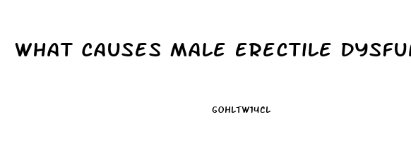 What Causes Male Erectile Dysfunction