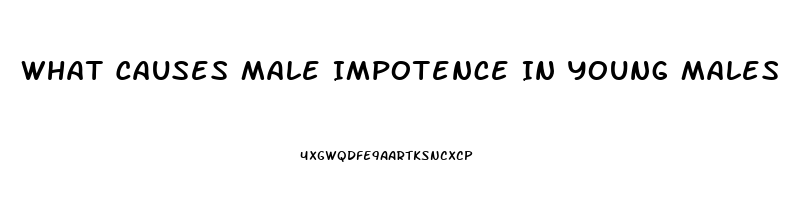 What Causes Male Impotence In Young Males