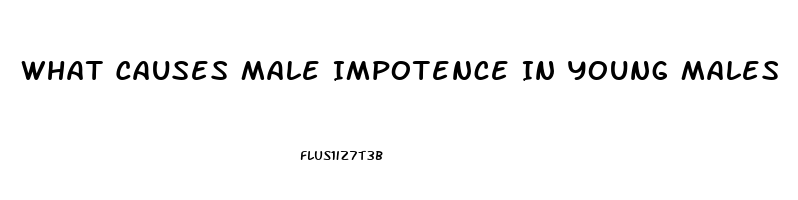 What Causes Male Impotence In Young Males