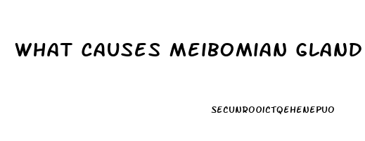 What Causes Meibomian Gland Dysfunction
