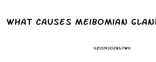 What Causes Meibomian Gland Dysfunction