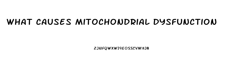 What Causes Mitochondrial Dysfunction
