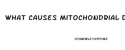 What Causes Mitochondrial Dysfunction