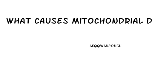 What Causes Mitochondrial Dysfunction