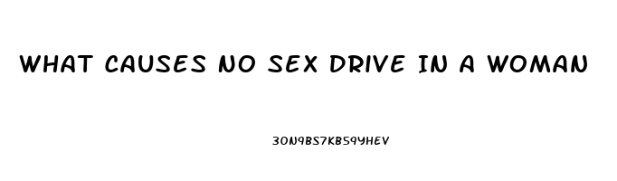 What Causes No Sex Drive In A Woman